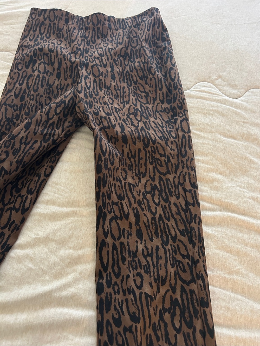 Truth by Republic Leopard Print pants with Black Trim Stretch Leggings